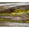 Anello CD